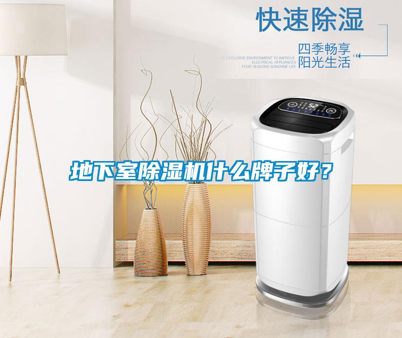 地下室除濕機什么牌子好？