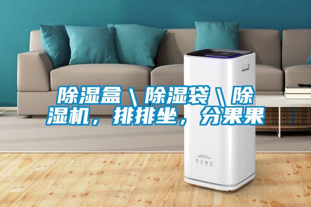除濕盒＼除濕袋＼除濕機，排排坐，分果果