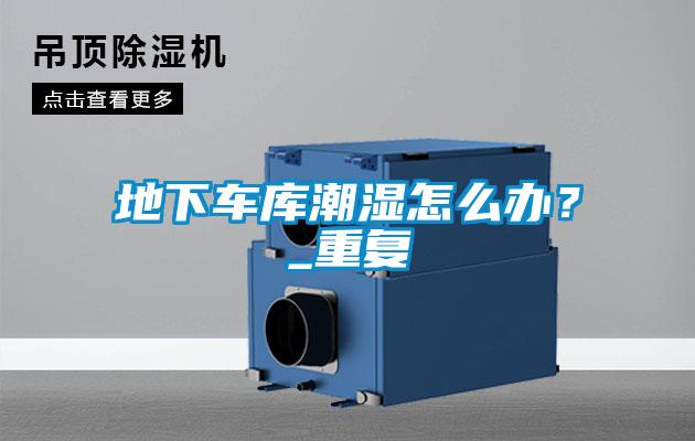 地下車庫潮濕怎么辦？_重復(fù)