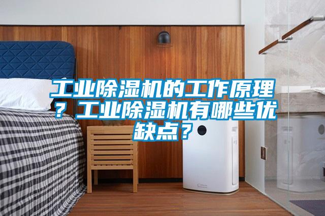 工業(yè)除濕機(jī)的工作原理？工業(yè)除濕機(jī)有哪些優(yōu)缺點(diǎn)？