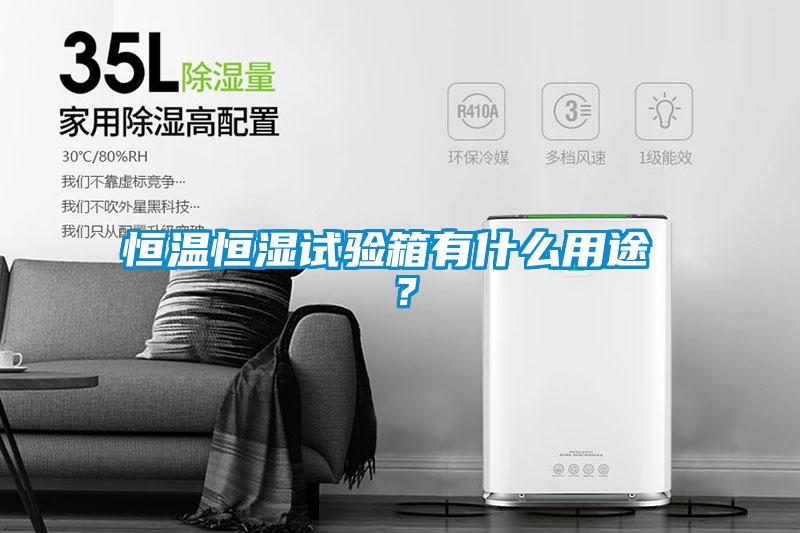 恒溫恒濕試驗(yàn)箱有什么用途 ？