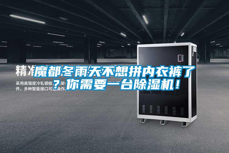 魔都冬雨天不想拼內(nèi)衣褲了？你需要一臺(tái)除濕機(jī)！