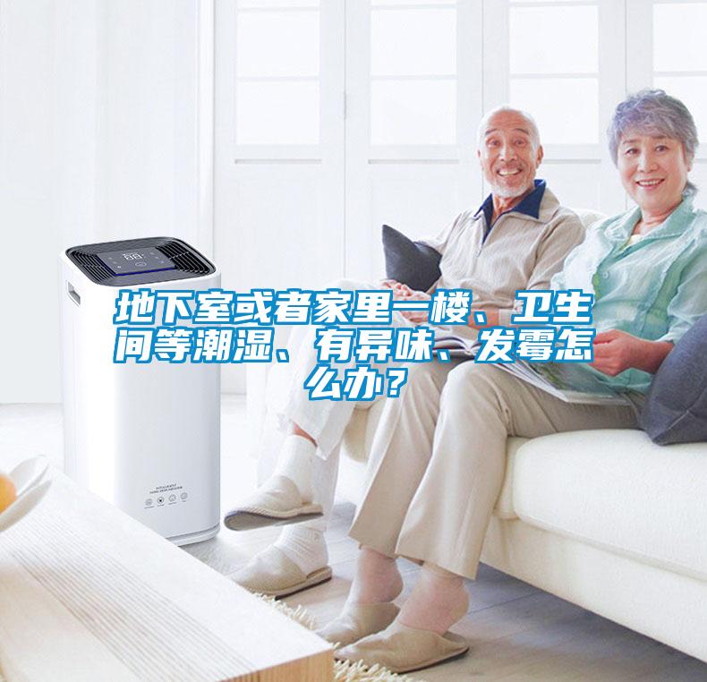 地下室或者家里一樓、衛(wèi)生間等潮濕、有異味、發(fā)霉怎么辦？