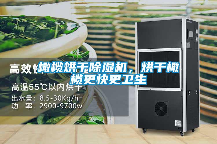 橄欖烘干除濕機，烘干橄欖更快更衛(wèi)生