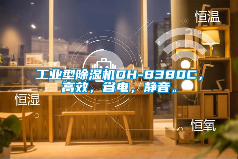 工業(yè)型除濕機DH-8380C，高效，省電，靜音。