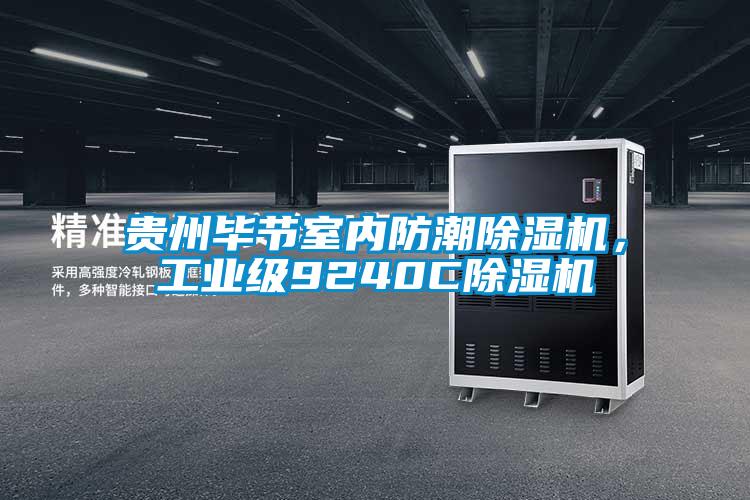 貴州畢節(jié)室內(nèi)防潮除濕機(jī)，工業(yè)級(jí)9240C除濕機(jī)