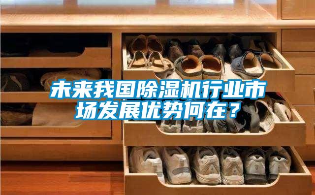未來(lái)我國(guó)除濕機(jī)行業(yè)市場(chǎng)發(fā)展優(yōu)勢(shì)何在？