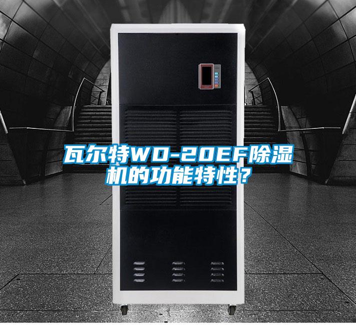 瓦爾特WD-20EF除濕機(jī)的功能特性？