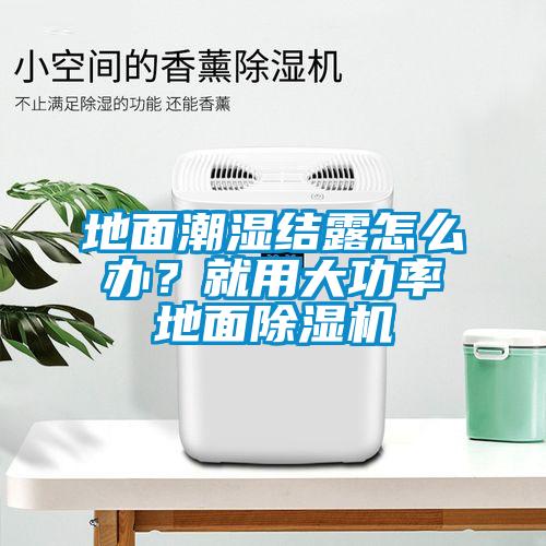 地面潮濕結(jié)露怎么辦？就用大功率地面除濕機(jī)