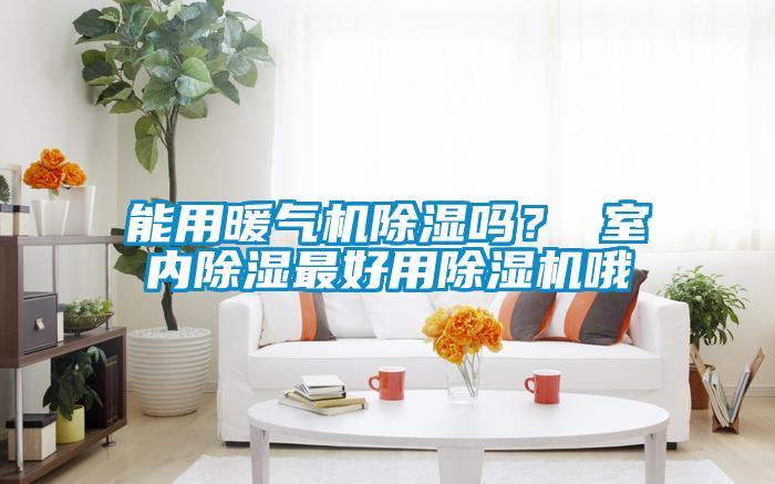 能用暖氣機除濕嗎？ 室內(nèi)除濕最好用除濕機哦