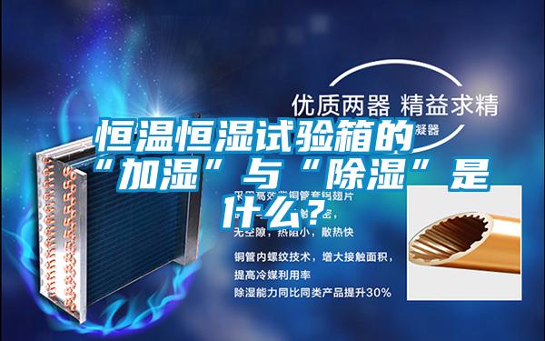 恒溫恒濕試驗(yàn)箱的“加濕”與“除濕”是什么？