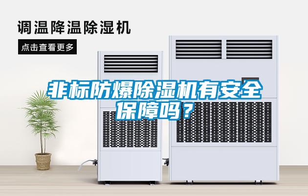 非標(biāo)防爆除濕機(jī)有安全保障嗎？
