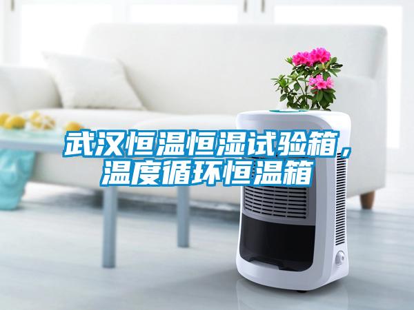 武漢恒溫恒濕試驗箱，溫度循環(huán)恒溫箱