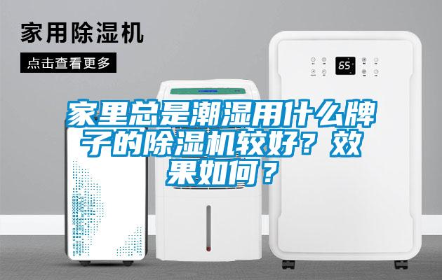 家里總是潮濕用什么牌子的除濕機較好？效果如何？