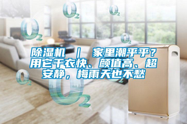 除濕機(jī) ｜ 家里潮乎乎？用它干衣快、顏值高、超安靜，梅雨天也不愁