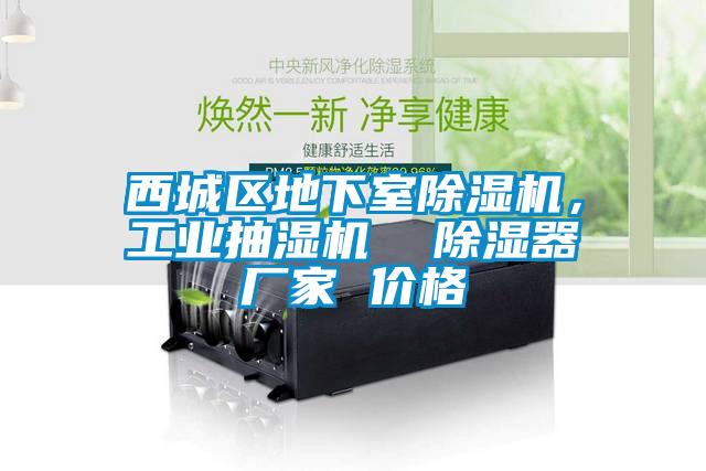 西城區(qū)地下室除濕機(jī)，工業(yè)抽濕機(jī)  除濕器廠家 價(jià)格