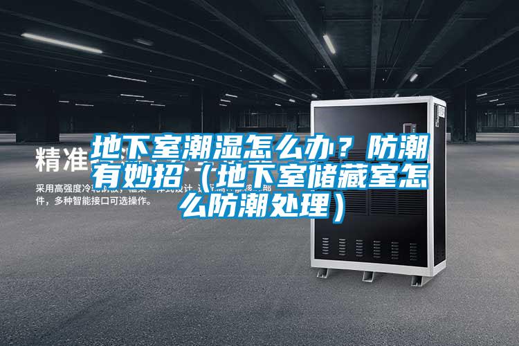 地下室潮濕怎么辦？防潮有妙招（地下室儲(chǔ)藏室怎么防潮處理）