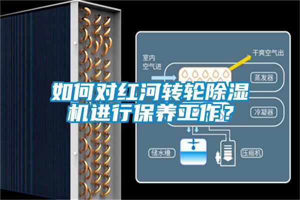 如何對紅河轉(zhuǎn)輪除濕機進行保養(yǎng)工作？