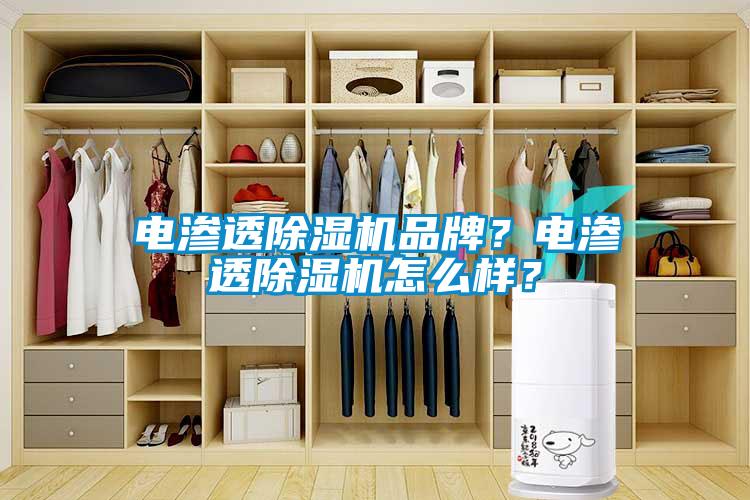 電滲透除濕機(jī)品牌？電滲透除濕機(jī)怎么樣？