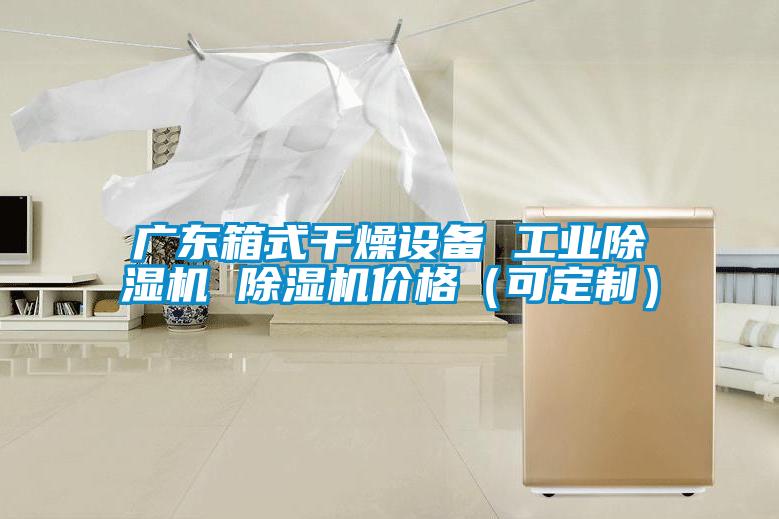 廣東箱式干燥設(shè)備 工業(yè)除濕機 除濕機價格（可定制）