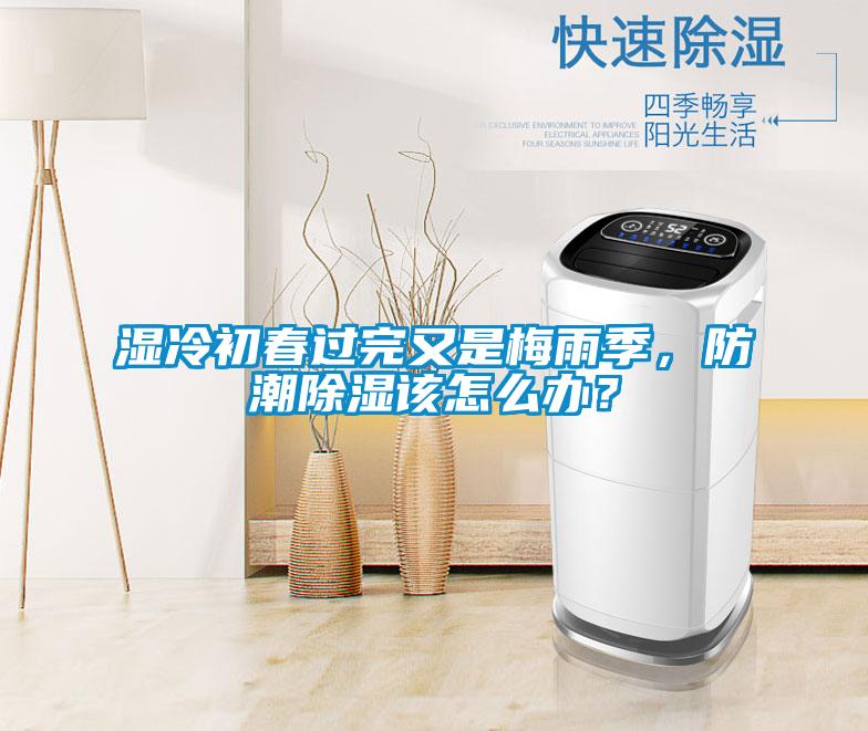 濕冷初春過完又是梅雨季，防潮除濕該怎么辦？