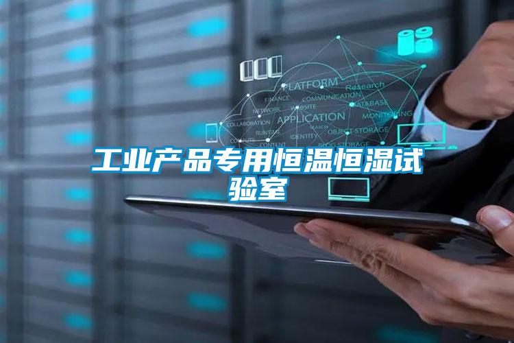 工業(yè)產品專用恒溫恒濕試驗室