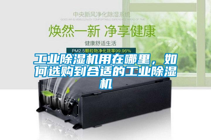 工業(yè)除濕機(jī)用在哪里，如何選購到合適的工業(yè)除濕機(jī)