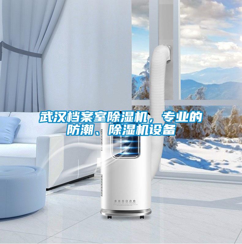 武漢檔案室除濕機(jī)，專業(yè)的防潮、除濕機(jī)設(shè)備