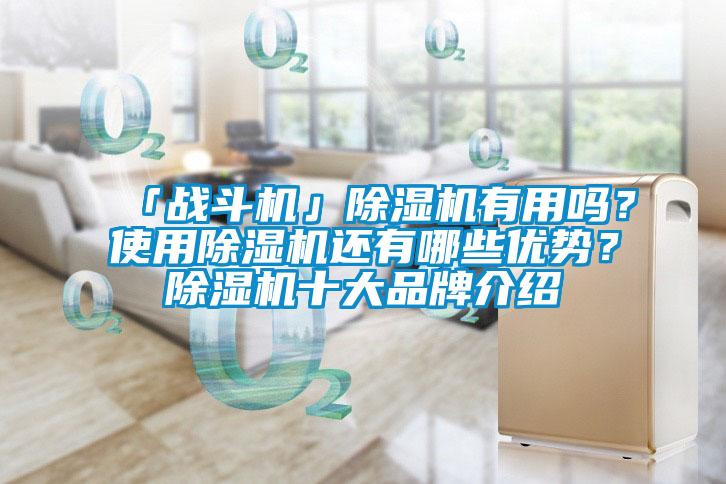 「戰(zhàn)斗機」除濕機有用嗎？使用除濕機還有哪些優(yōu)勢？除濕機十大品牌介紹