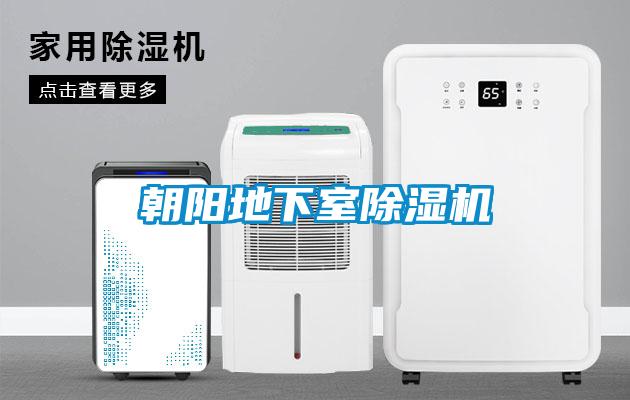 朝陽(yáng)地下室除濕機(jī)