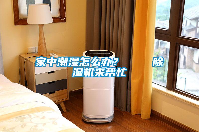 家中潮濕怎么辦？    除濕機(jī)來幫忙