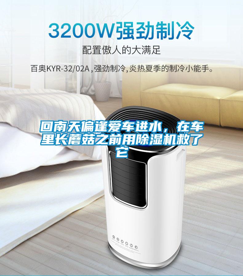 回南天偏逢愛車進水，在車?yán)镩L蘑菇之前用除濕機救了它