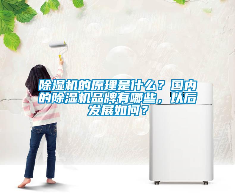 除濕機的原理是什么？國內的除濕機品牌有哪些，以后發(fā)展如何？