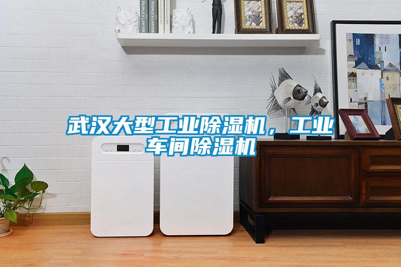 武漢大型工業(yè)除濕機(jī)，工業(yè)車間除濕機(jī)