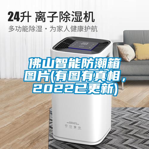 佛山智能防潮箱圖片(有圖有真相，2022已更新)