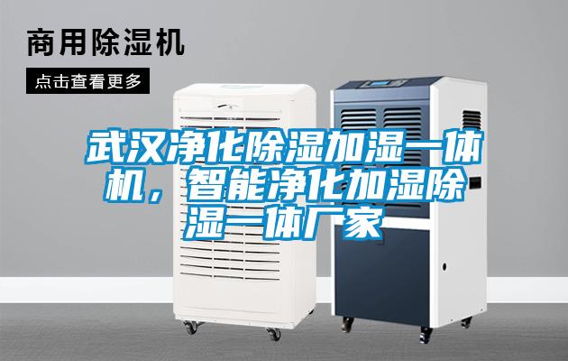 武漢凈化除濕加濕一體機(jī)，智能凈化加濕除濕一體廠家