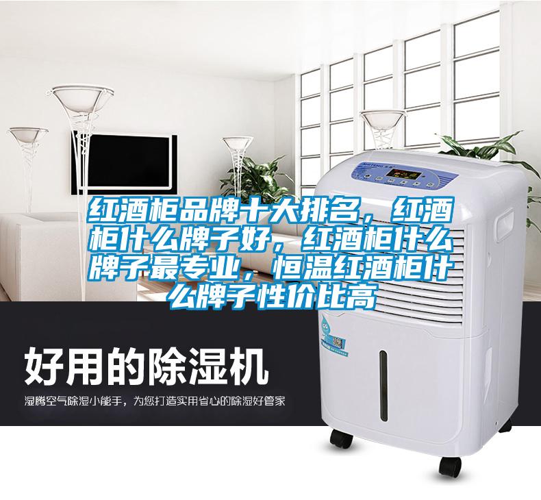 紅酒柜品牌十大排名，紅酒柜什么牌子好，紅酒柜什么牌子最專業(yè)，恒溫紅酒柜什么牌子性價比高
