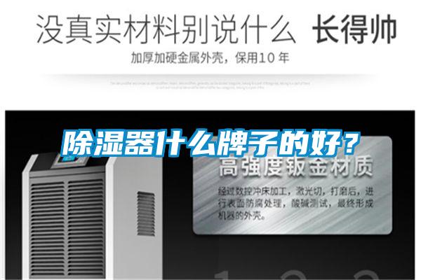 除濕器什么牌子的好？