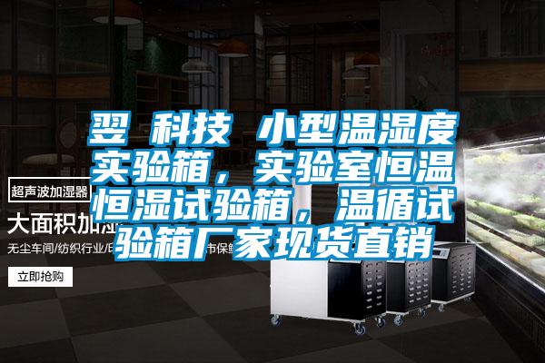 翌昇科技 小型溫濕度實(shí)驗(yàn)箱，實(shí)驗(yàn)室恒溫恒濕試驗(yàn)箱，溫循試驗(yàn)箱廠家現(xiàn)貨直銷