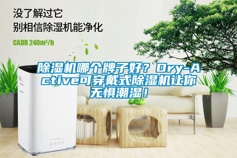 除濕機(jī)哪個(gè)牌子好？Dry-Active可穿戴式除濕機(jī)讓你無(wú)懼潮濕！