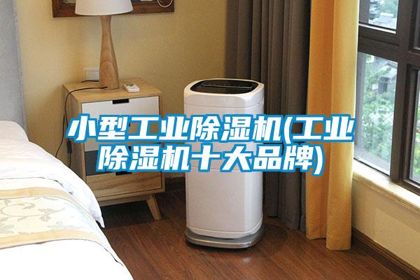 小型工業(yè)除濕機(工業(yè)除濕機十大品牌)