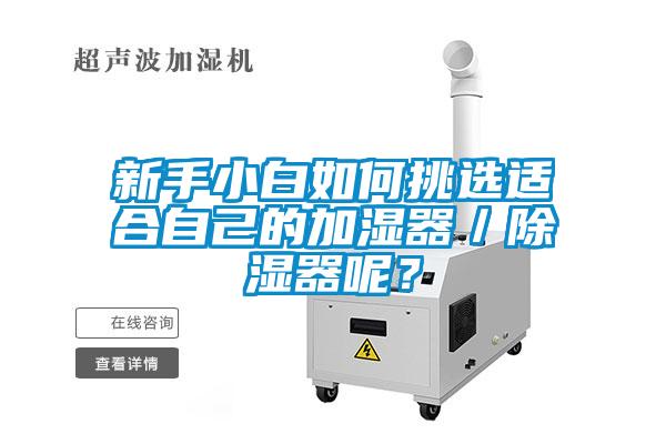新手小白如何挑選適合自己的加濕器／除濕器呢？