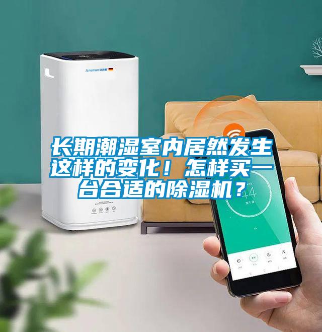 長期潮濕室內(nèi)居然發(fā)生這樣的變化！怎樣買一臺合適的除濕機？