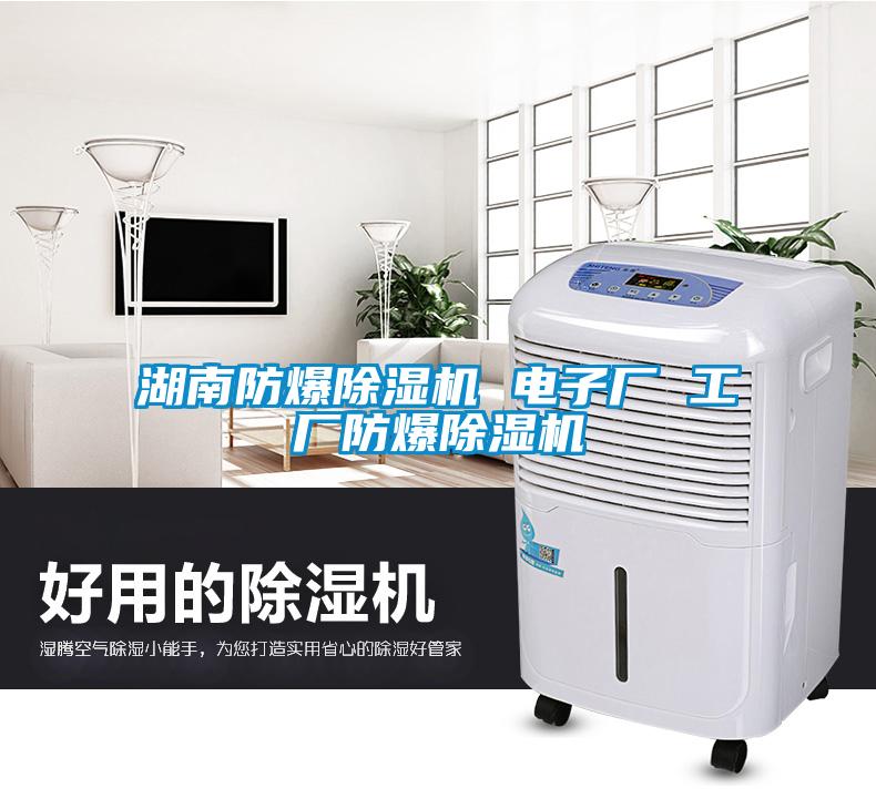 湖南防爆除濕機(jī) 電子廠 工廠防爆除濕機(jī)