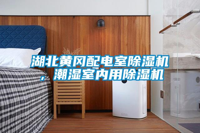 湖北黃岡配電室除濕機(jī)，潮濕室內(nèi)用除濕機(jī)