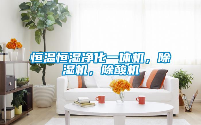 恒溫恒濕凈化一體機(jī)，除濕機(jī)，除酸機(jī)