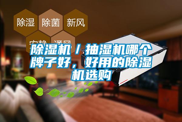 除濕機(jī)／抽濕機(jī)哪個(gè)牌子好，好用的除濕機(jī)選購