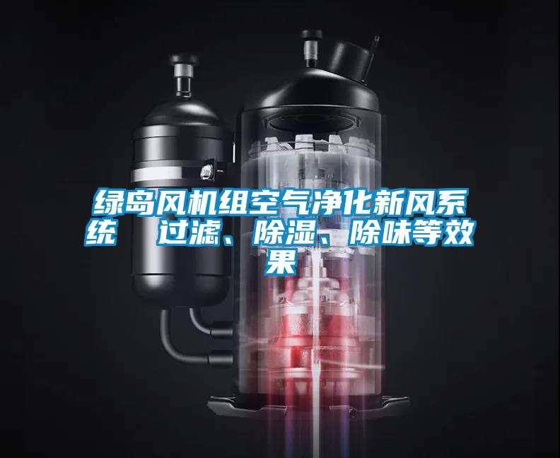 綠島風(fēng)機(jī)組空氣凈化新風(fēng)系統(tǒng)  過濾、除濕、除味等效果