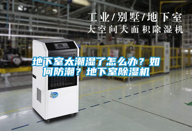 地下室太潮濕了怎么辦？如何防潮？地下室除濕機(jī)