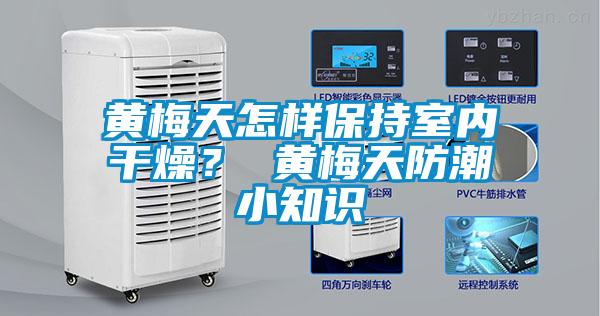黃梅天怎樣保持室內(nèi)干燥？ 黃梅天防潮小知識(shí)